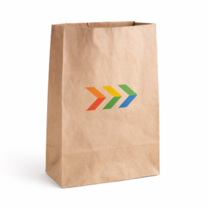 bolsa grande de kraft sin asa.png